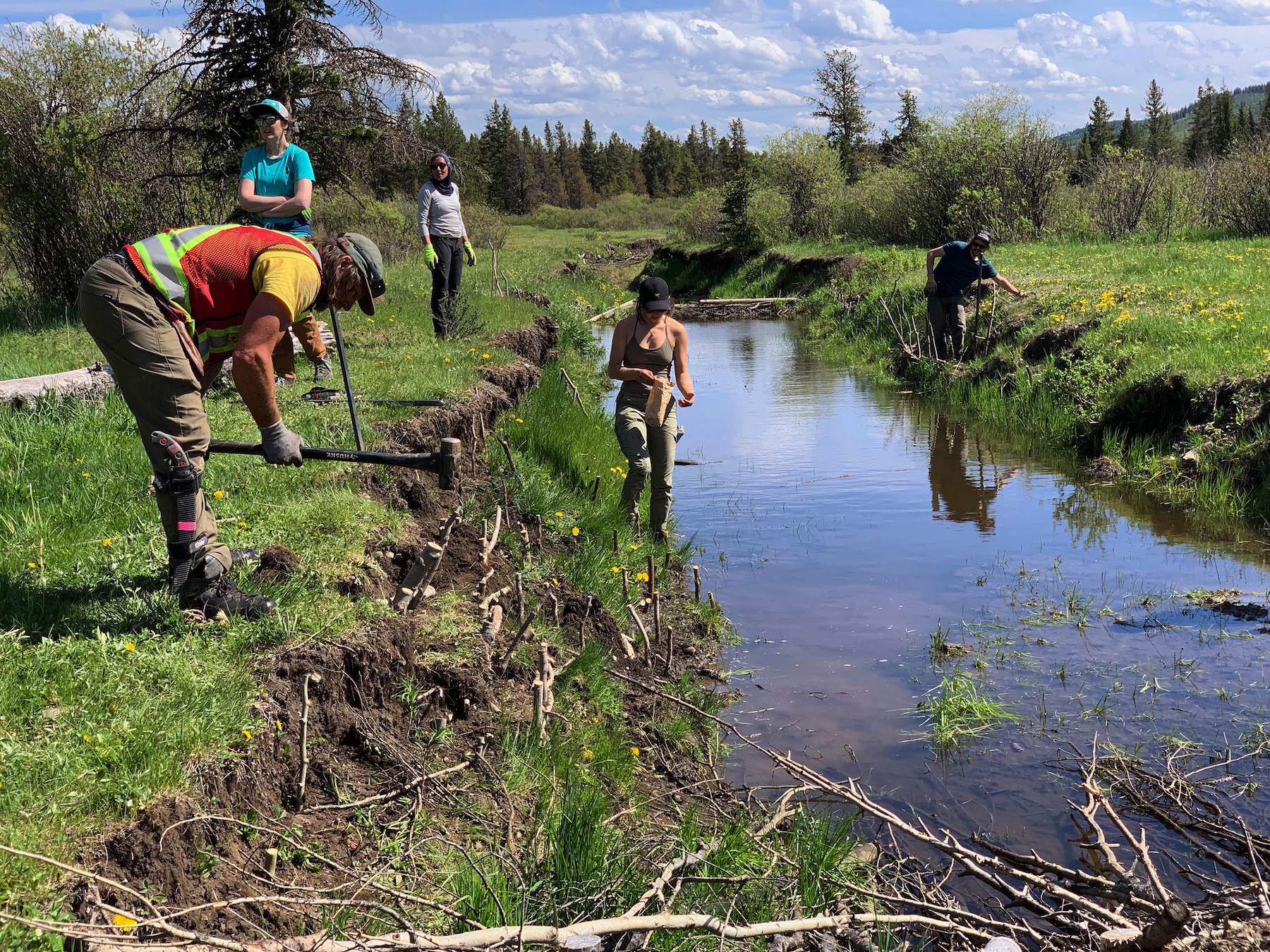 Bioengineering field day