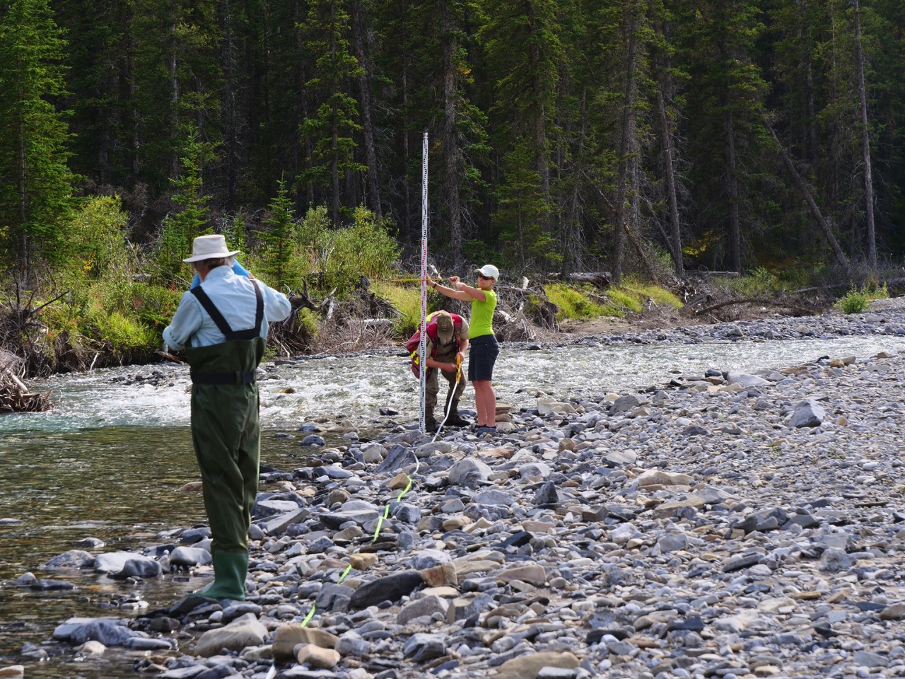 CABiN sampling